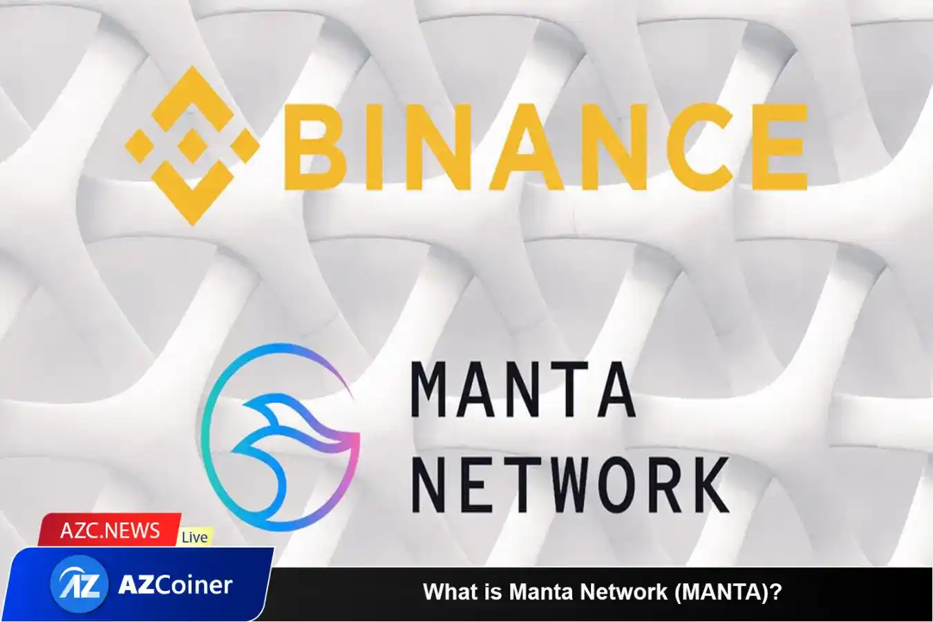 What Is Manta Network (manta)? 44th Project On Binance Launchpool_65d5d0dea4452.webp