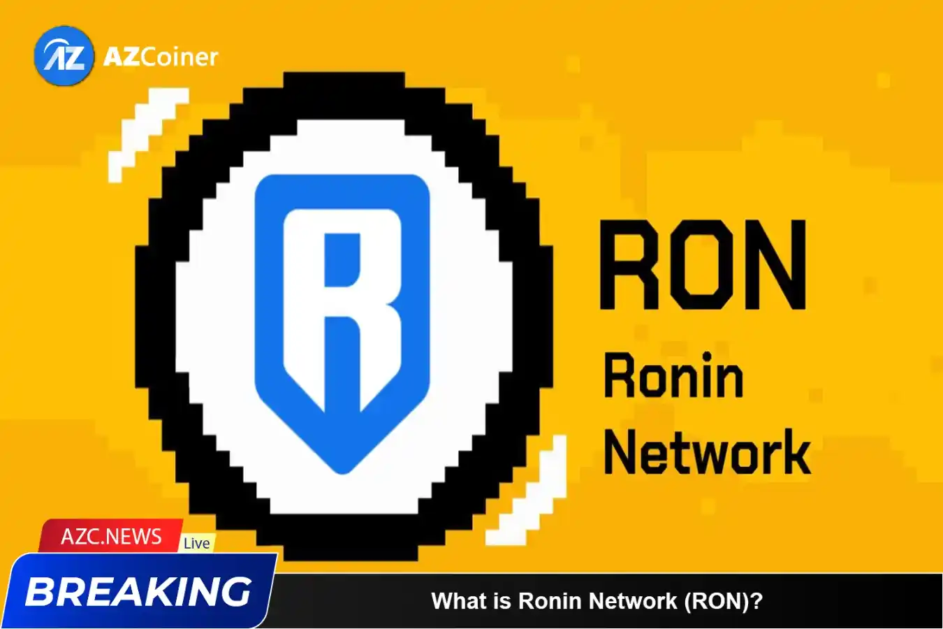 What Is Ronin Network (ron)? Gaming Supporting Axie Infinity_65d5d03b9d1db.webp