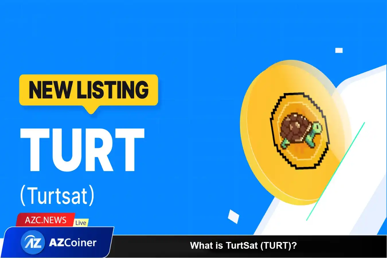 What Is Turtsat? Let’s Learn About The Turt Token_65d5d0f5da250.webp