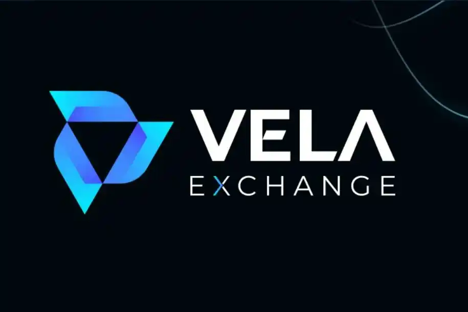 What Is Vela Exchange? Complete Guide To Vela Token Cryptocurrency_65d5cd8cd9cdc.webp
