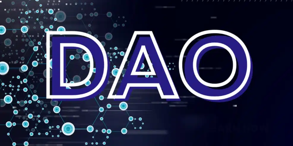 What Are The Disadvantages Of A Dao