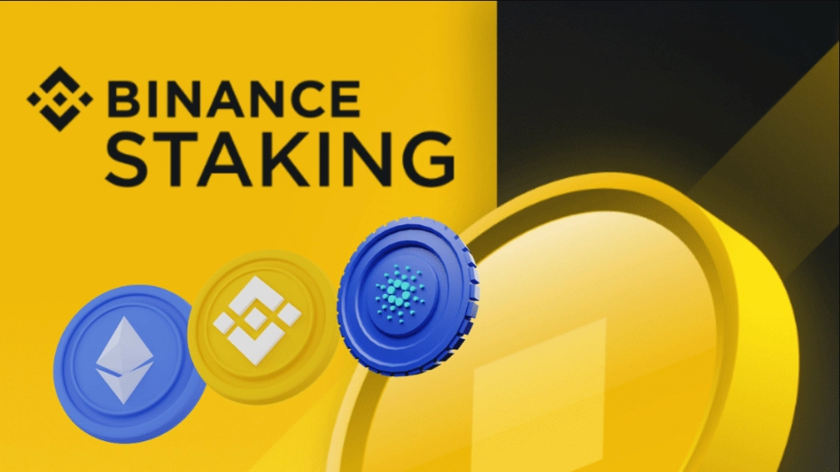 What Is Staking in Binance