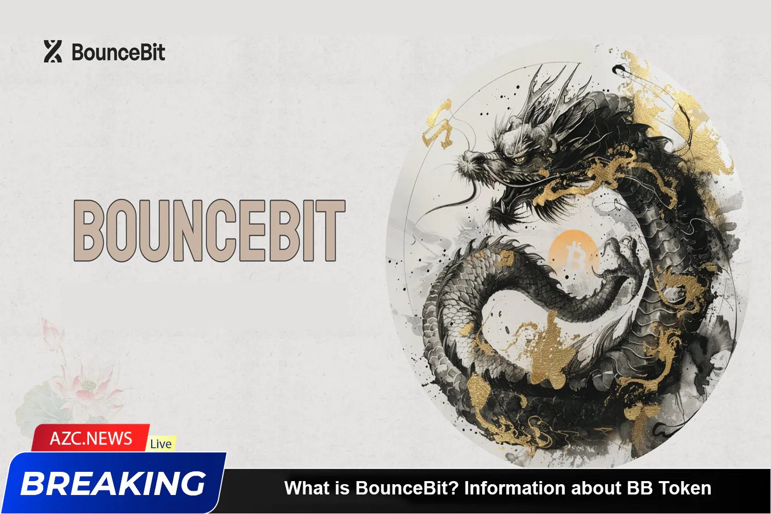 What Is Bouncebit