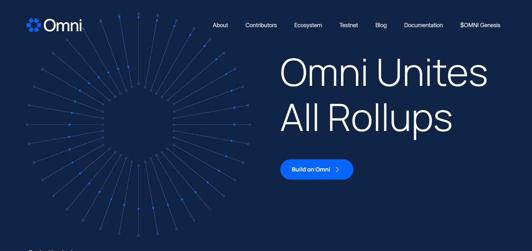 What Is Omni Network
