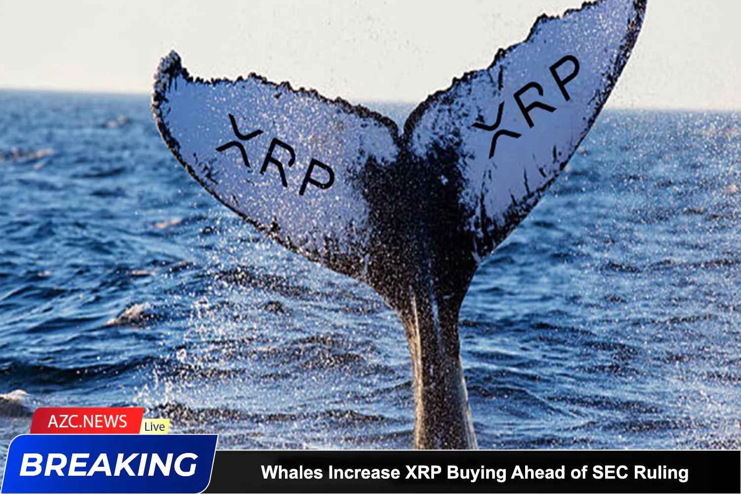 Azcnews Whales Increase Xrp Buying Ahead Of Sec Ruling