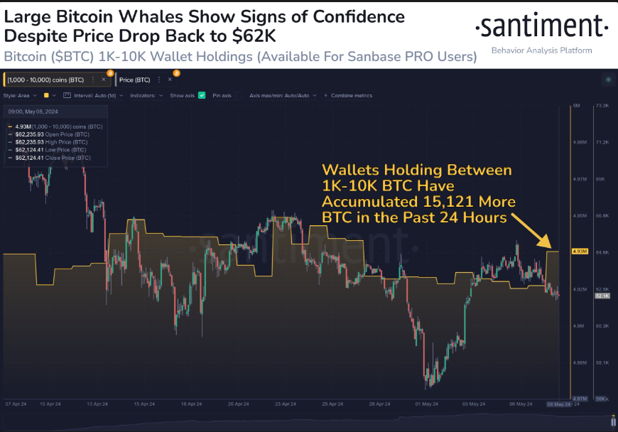 Bitcoin Whales Santiment