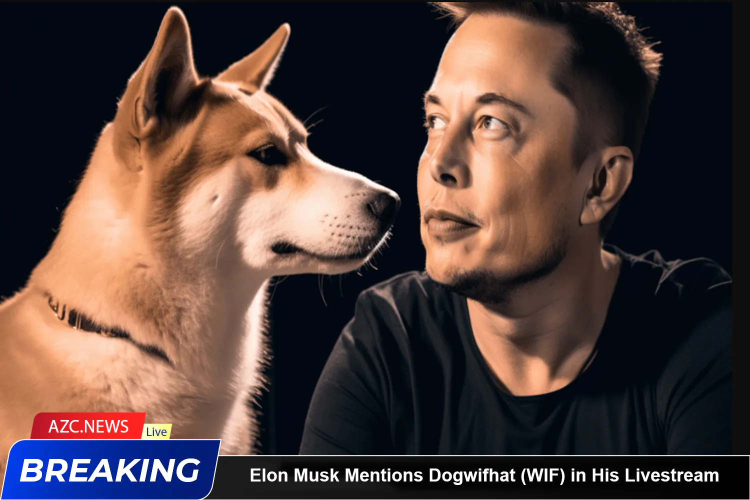 Elon Musk Mentions Dogwifhat (wif) In His Livestream