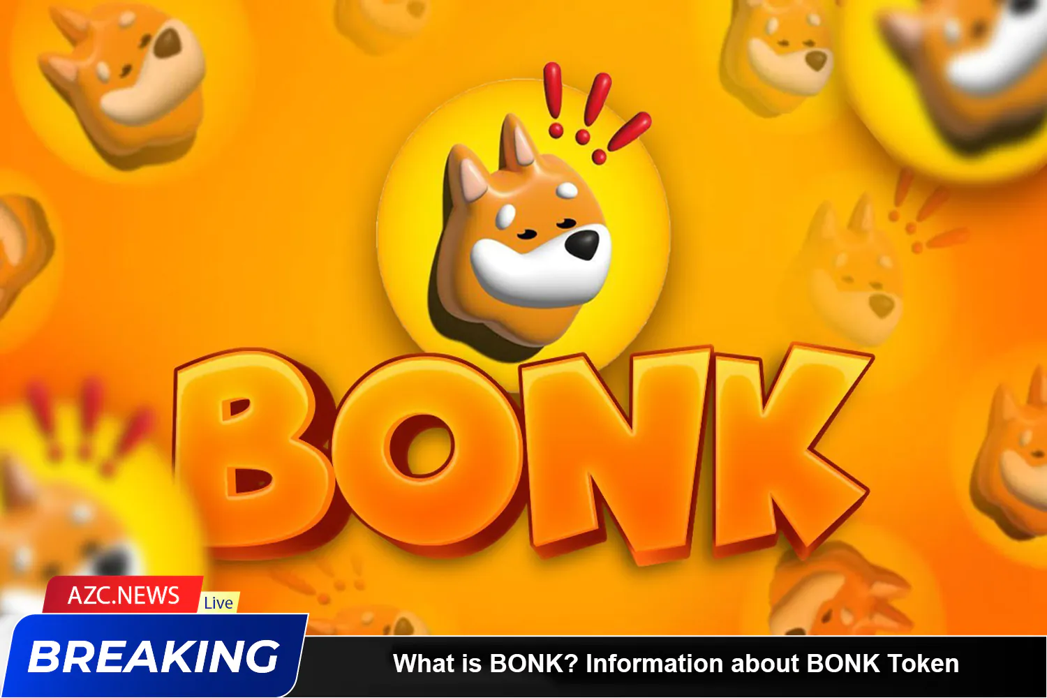 What Is Bonk Information About Bonk Token