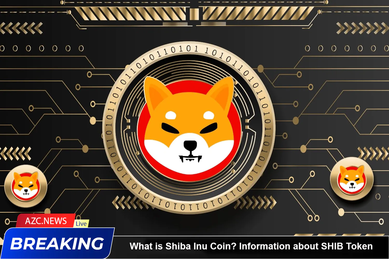 What Is Shiba Inu Coin Azc