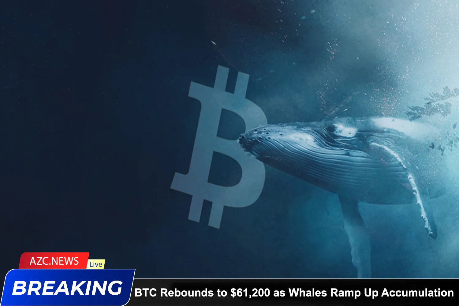 Azcnews Bitcoin Rebounds To $61,200 As Whales Ramp Up Accumulation