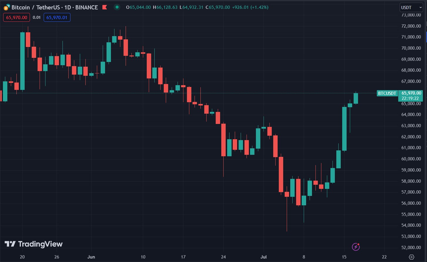 Btc Chart