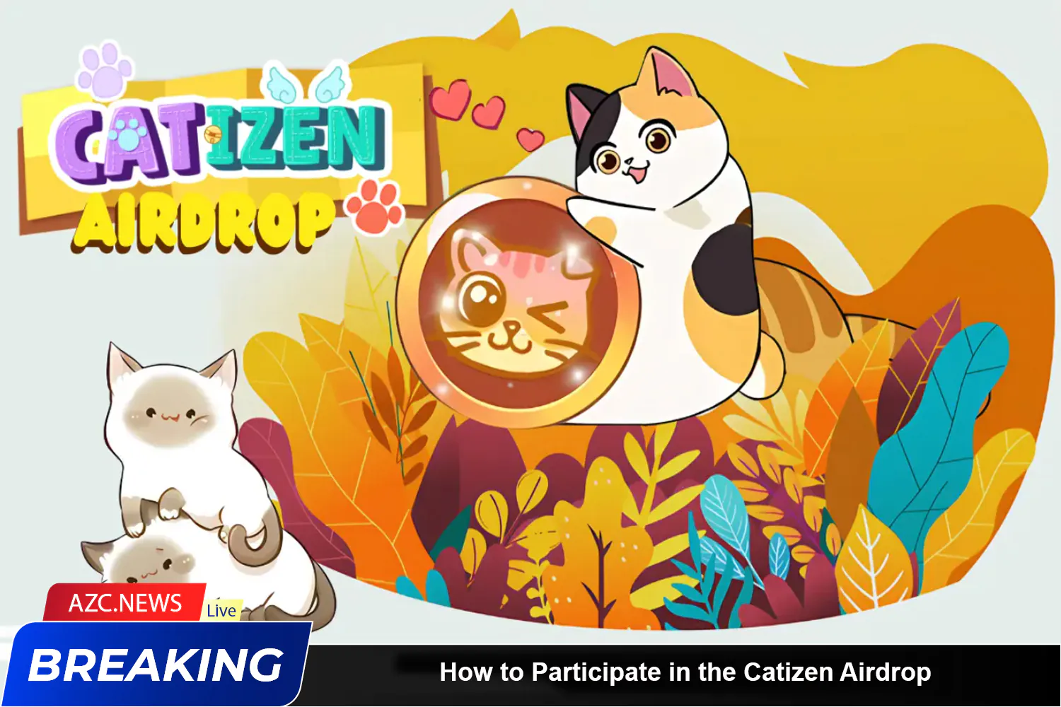 How To Participate In The Catizen Airdrop