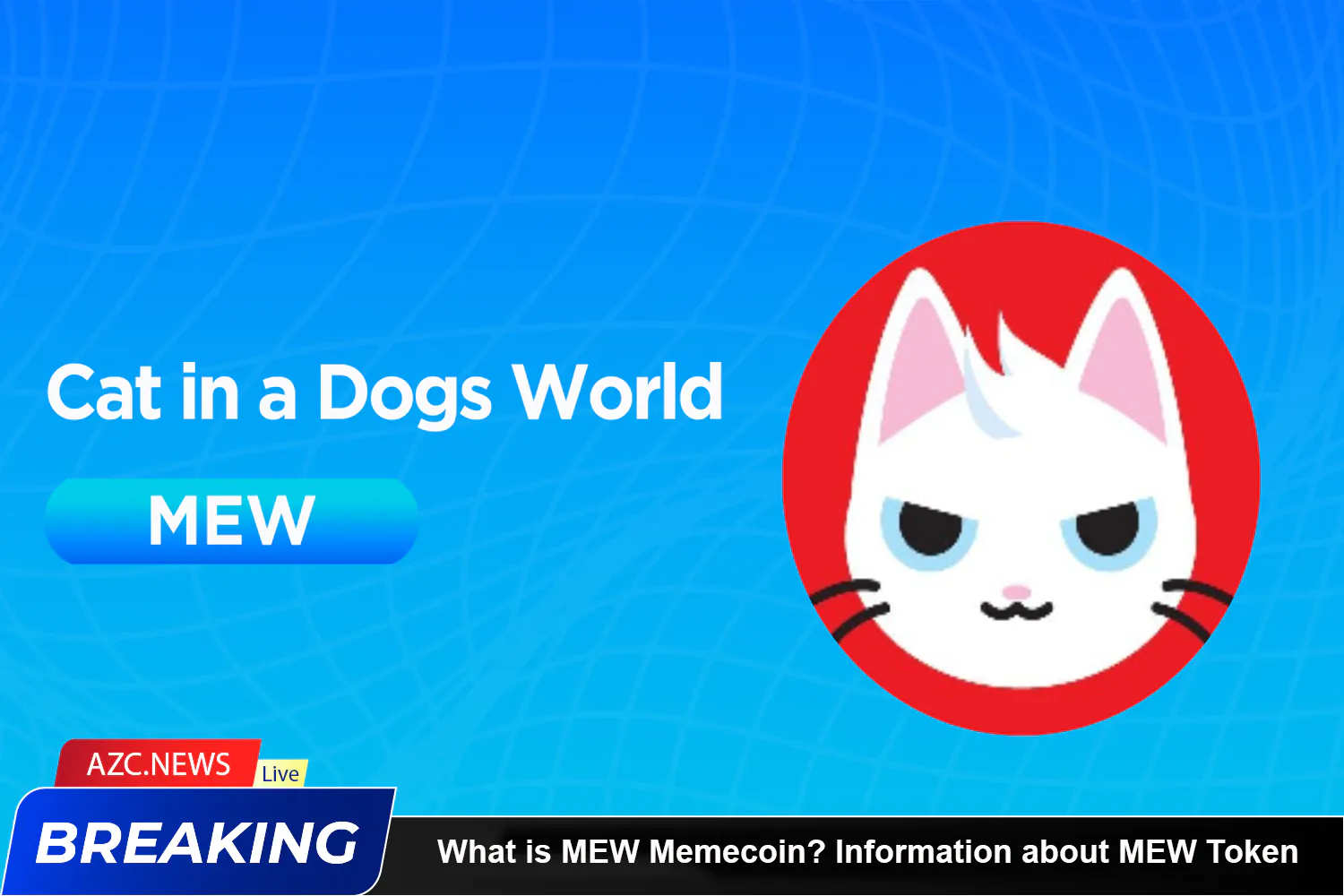 What Is Mew Memecoin Information About Mew Token