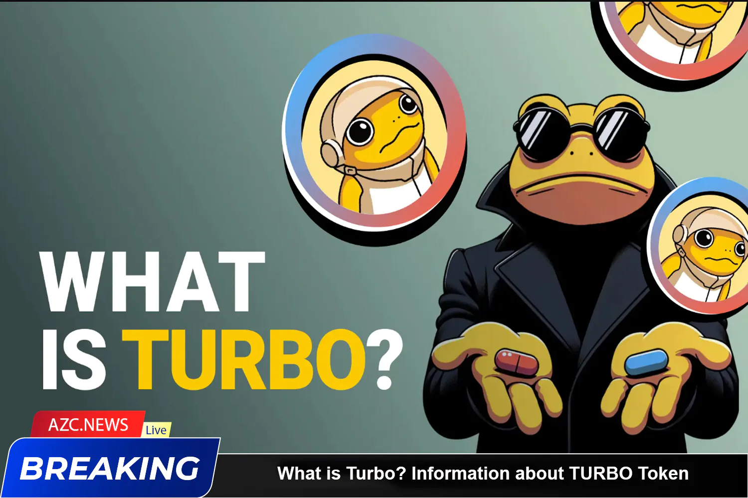 What Is Turbo Information About Turbo Token