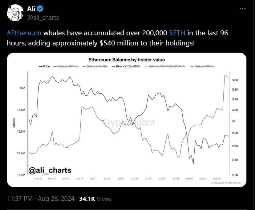 Ethereum Whales Accumulated Over 200k Eth