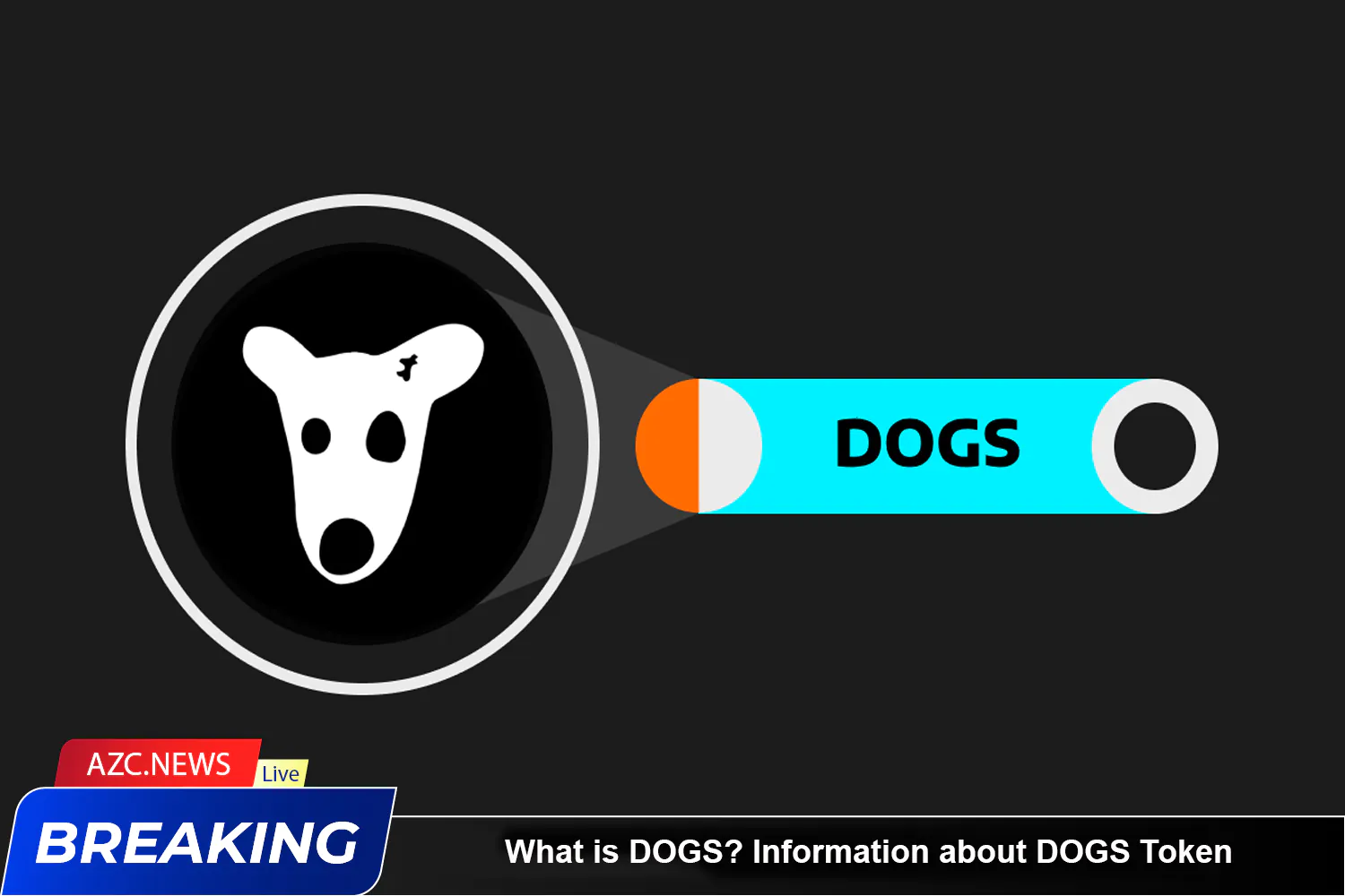 What Is Dogs Information About Dogs Token