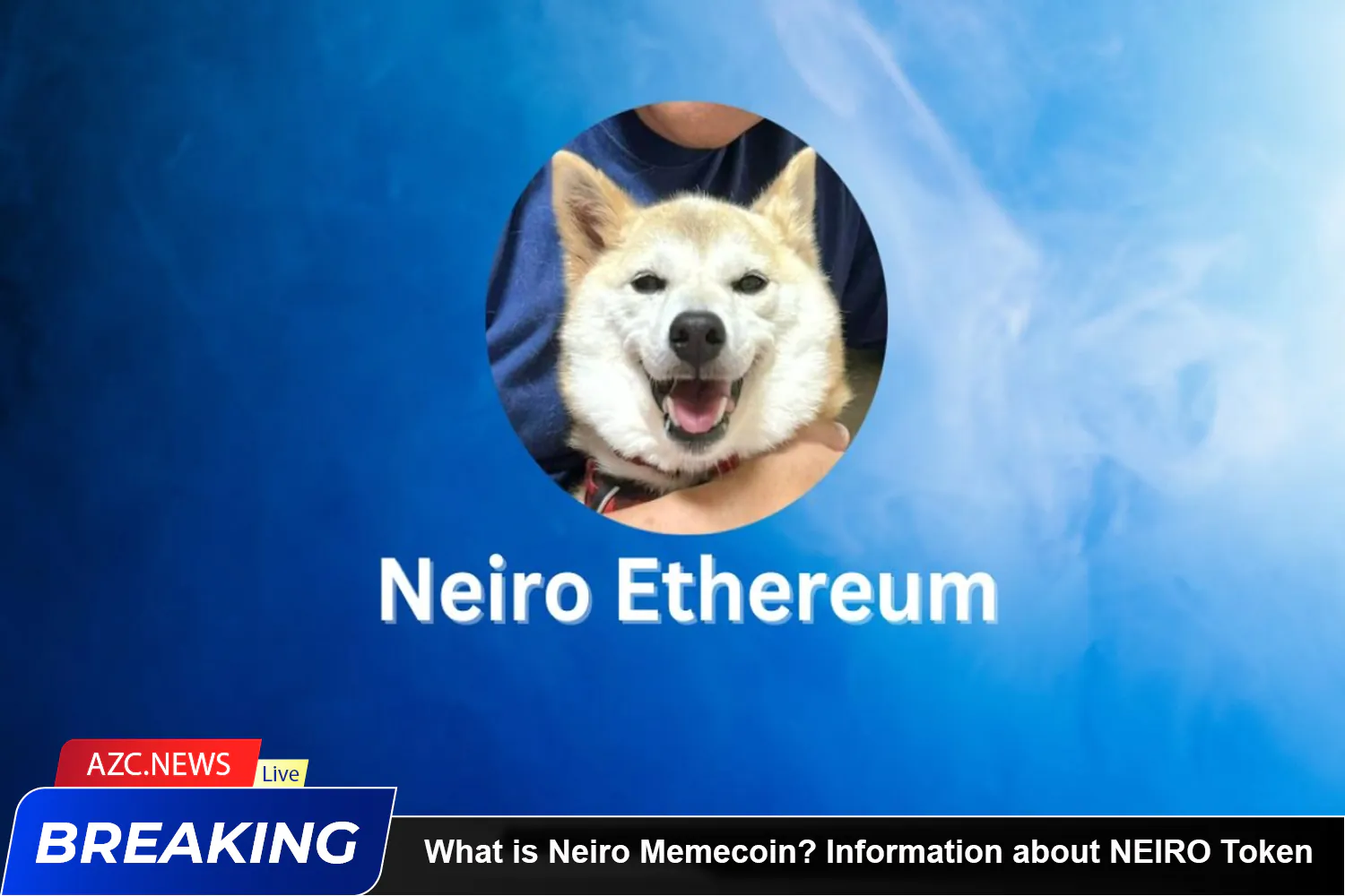 What Is Neiro Memecoin Information About Neiro Token