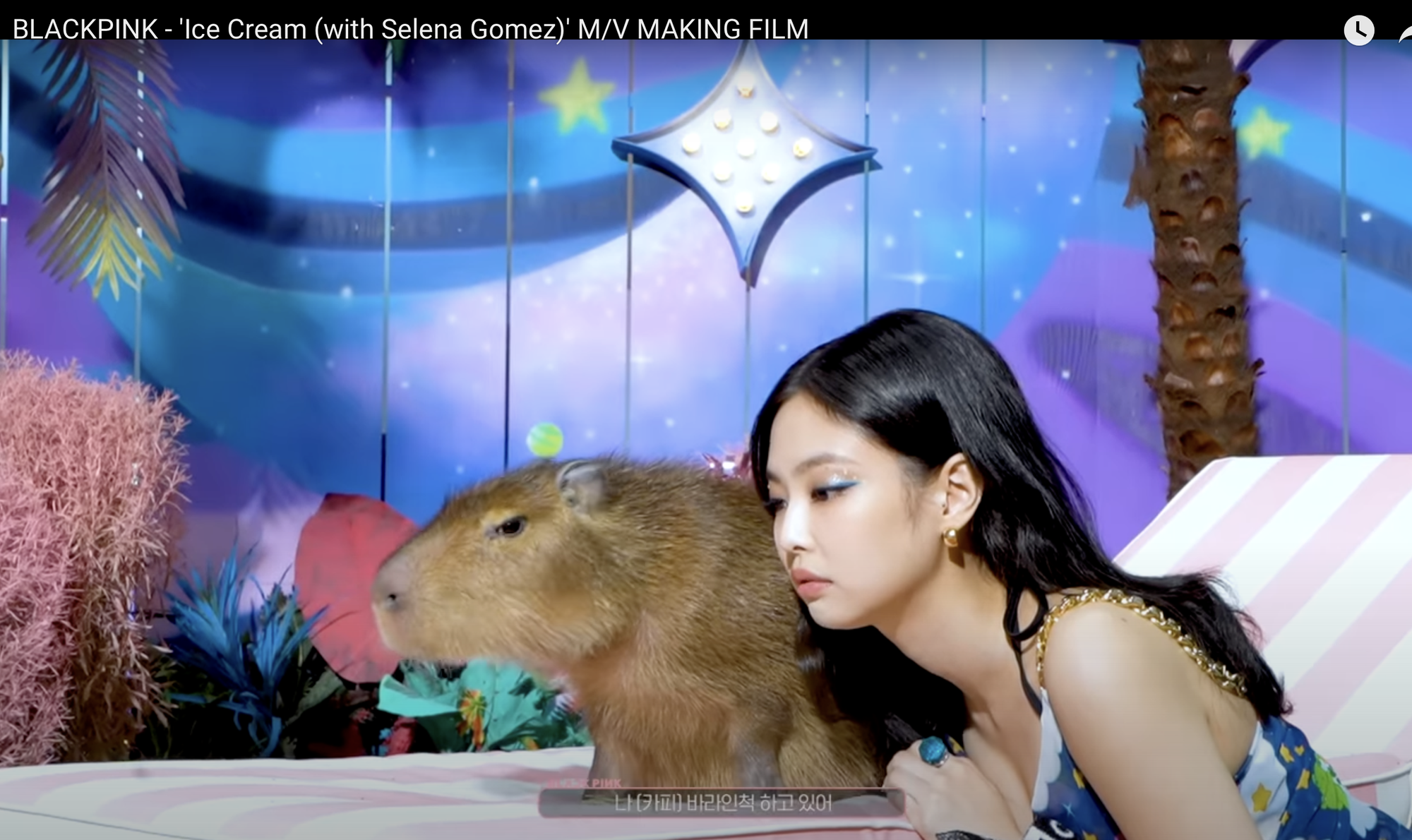 Jennie - BLACKPINK is big fan of Capy Bara