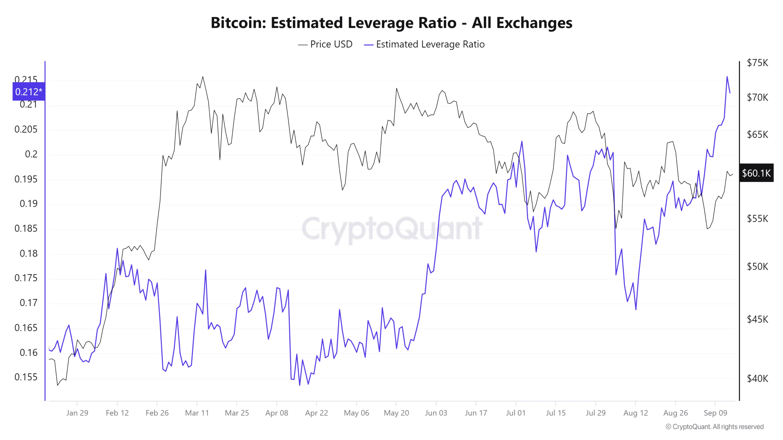 Bitcoin’s Estimated Leverage Ratio