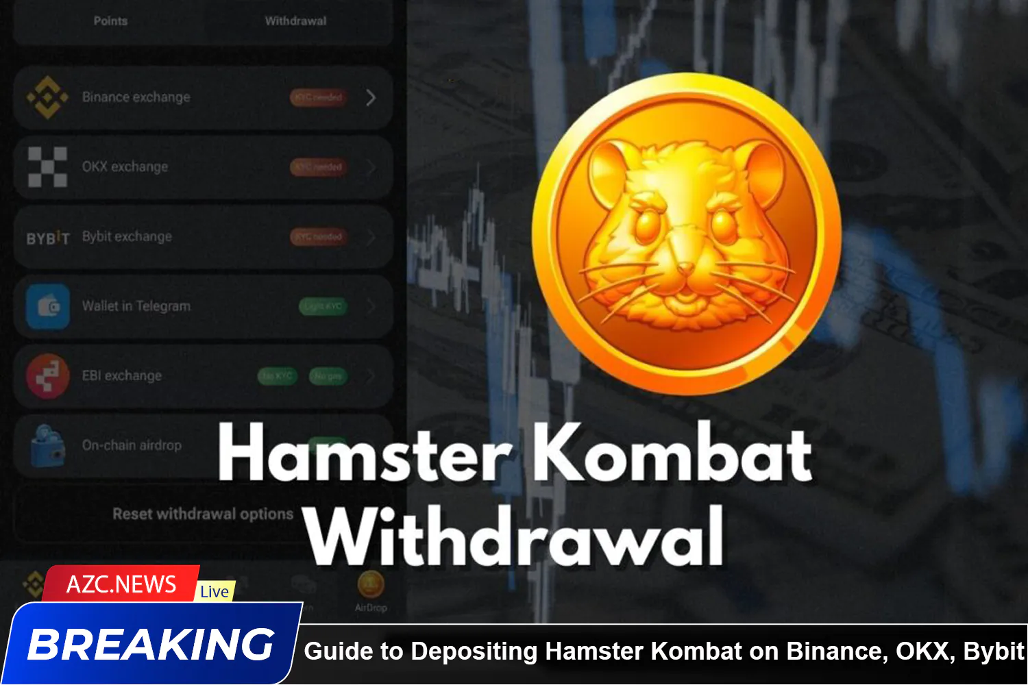 Guide To Depositing Hamster Kombat (hmstr) On Binance, Okx, Bybit