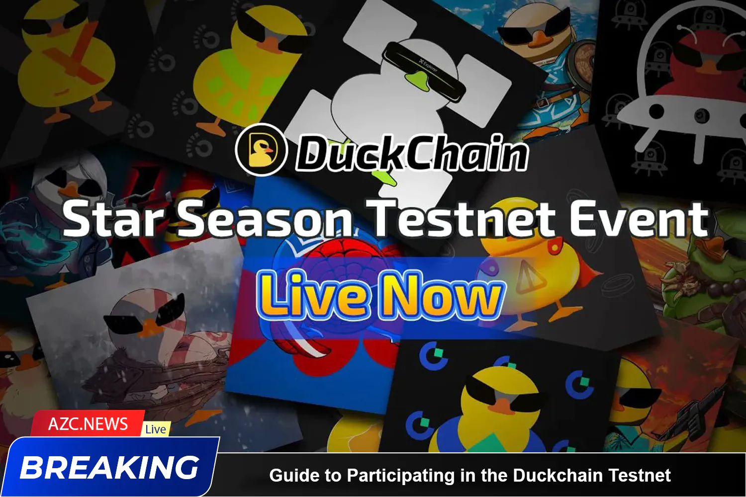 Guide To Participating In The Duckchain Testnet