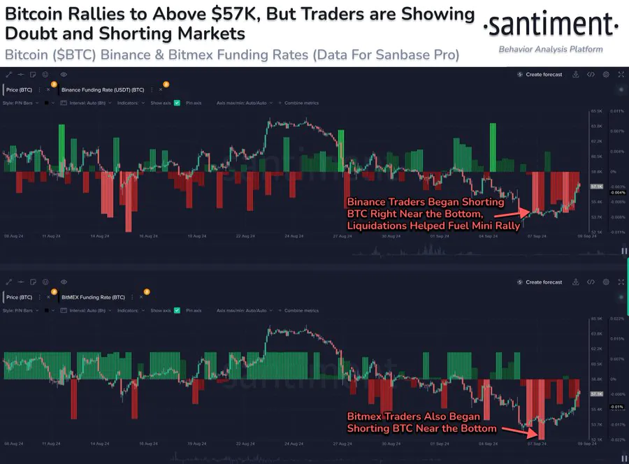 Traders Began Shorting Btc