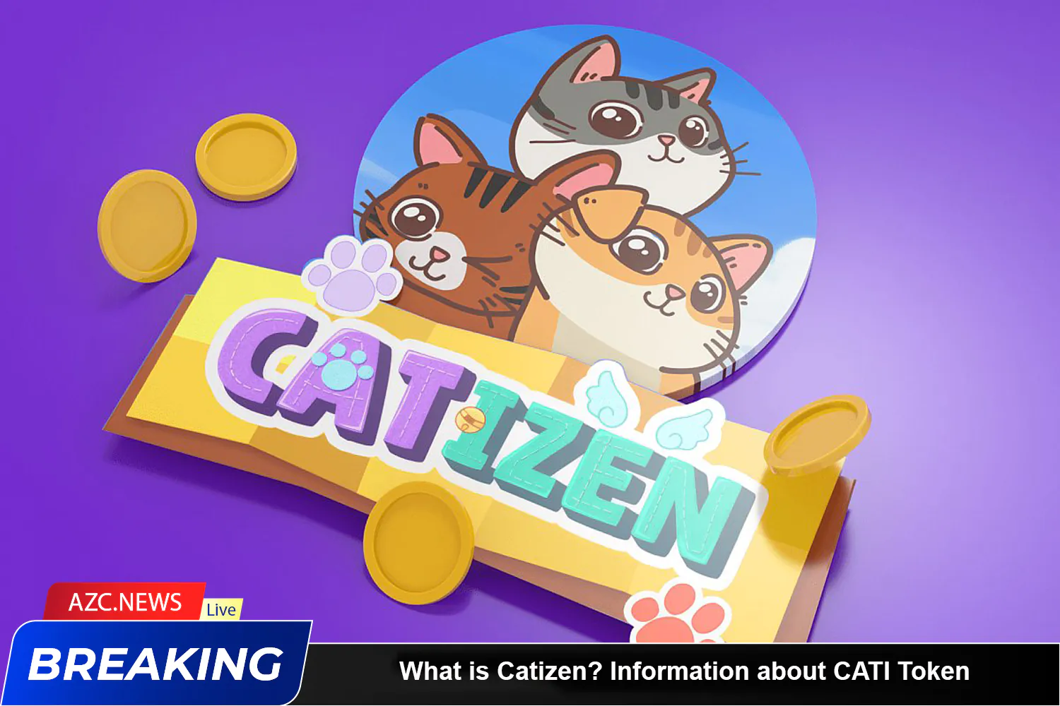 What Is Catizen