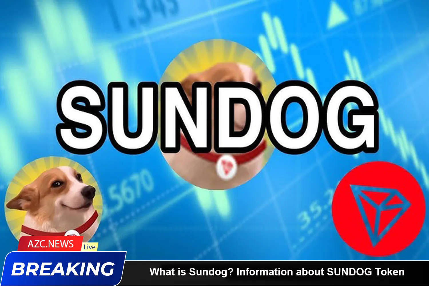 What Is Sundog Information About Sundog Token