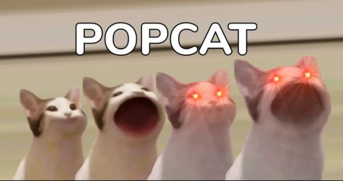 The origin of Popcat