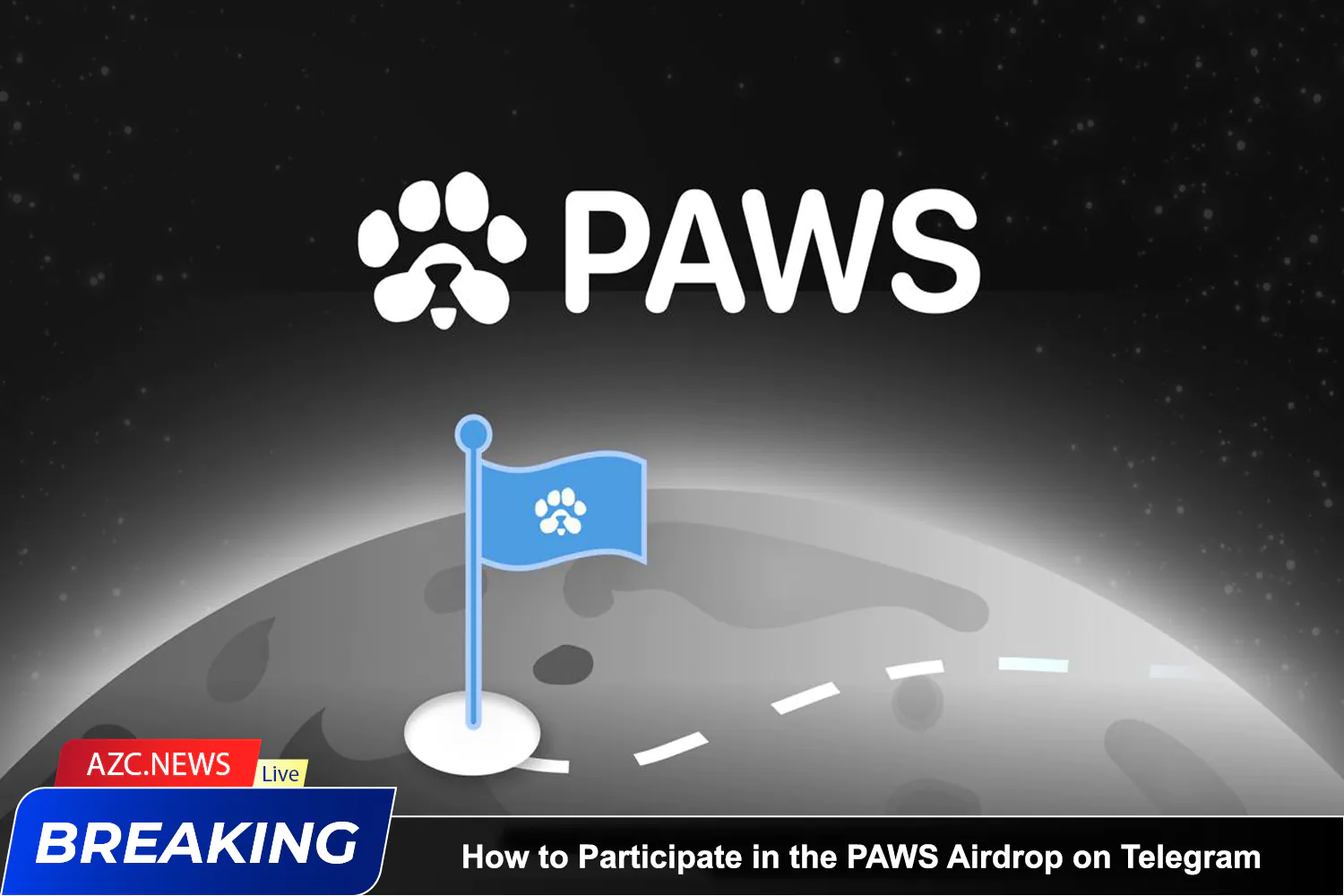 How To Participate In The Paws Airdrop On Telegram