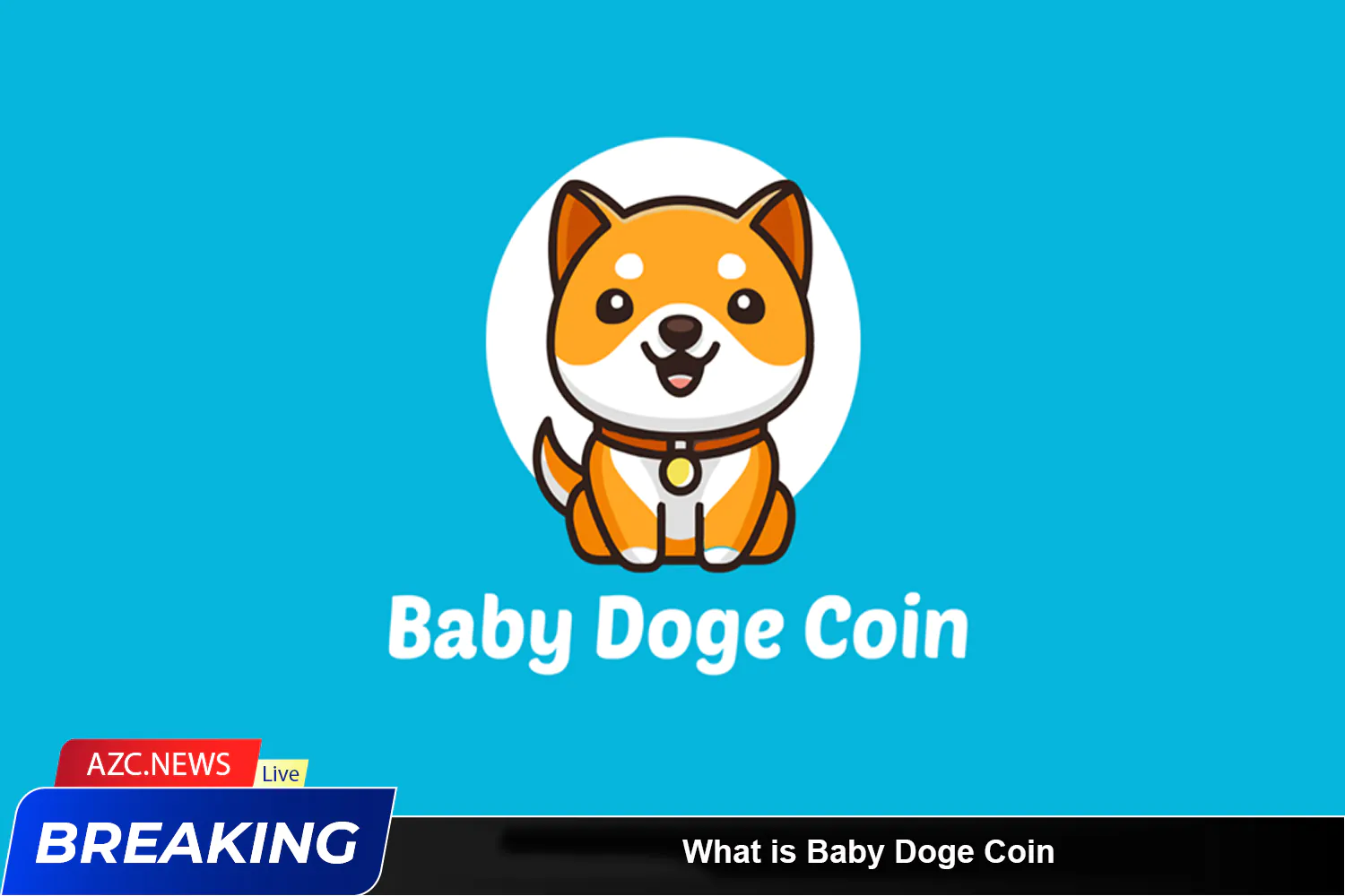 What Is Baby Doge Coin Information About 1mbabydoge