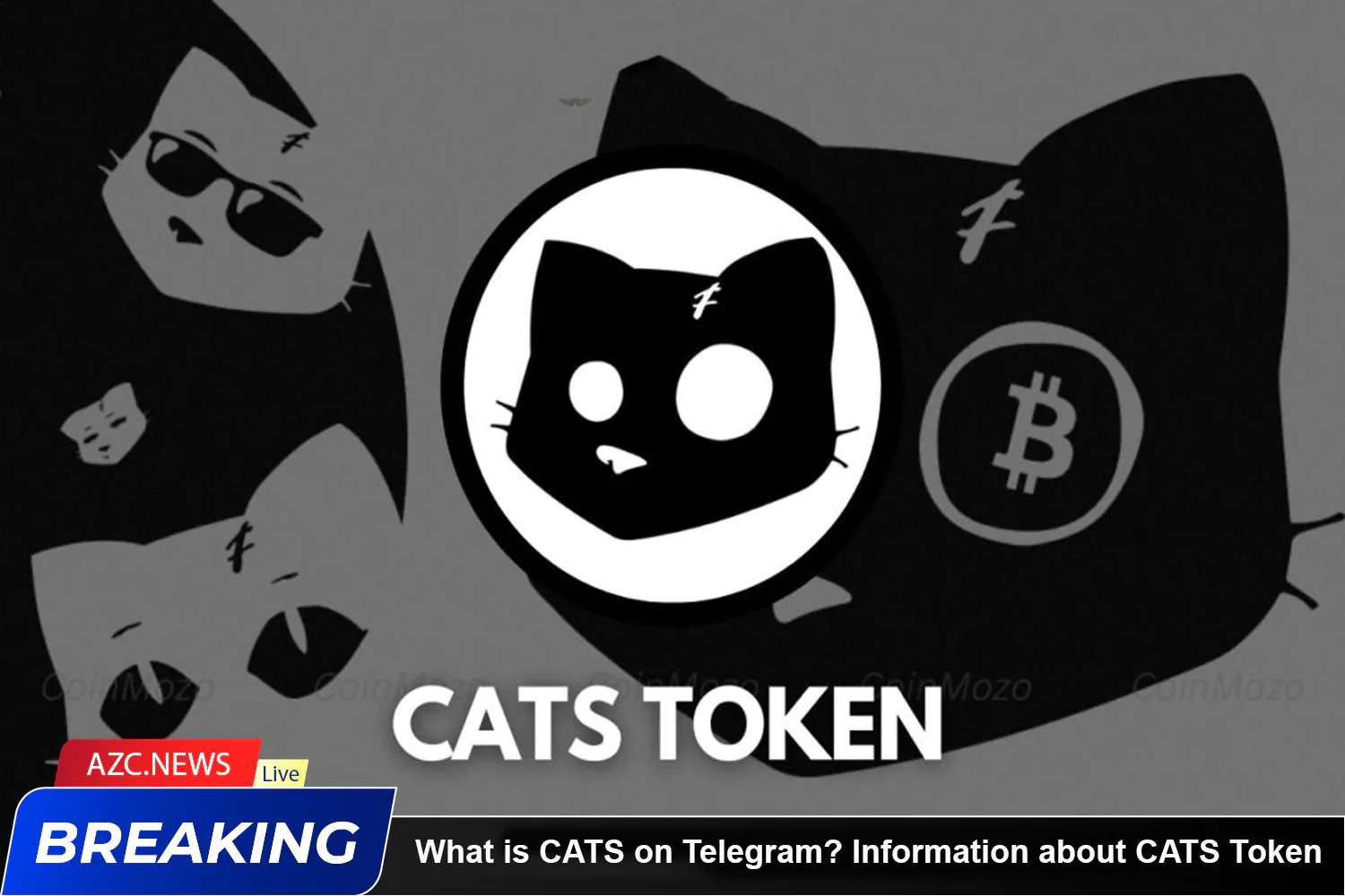 What Is Cats On Telegram Information About Cats Token