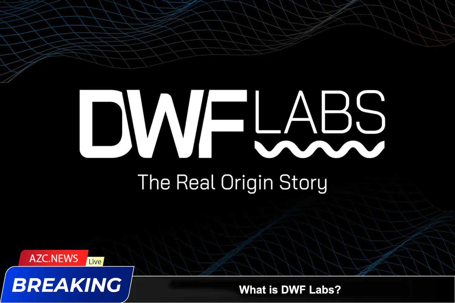 What Is Dwf Labs