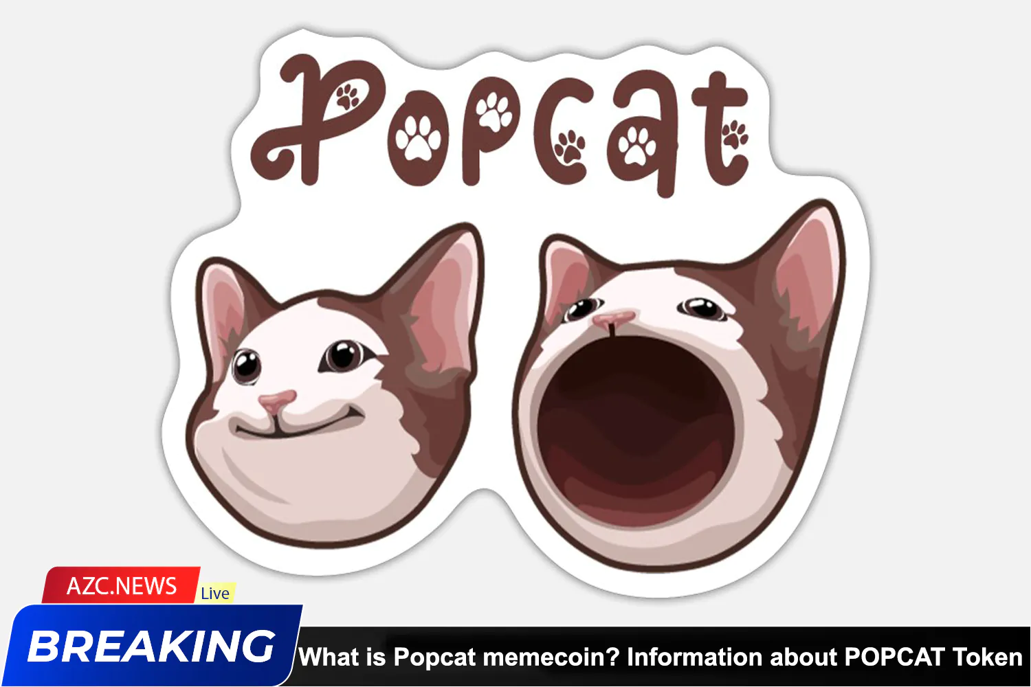 What Is Popcat Memecoin Information About Popcat Token