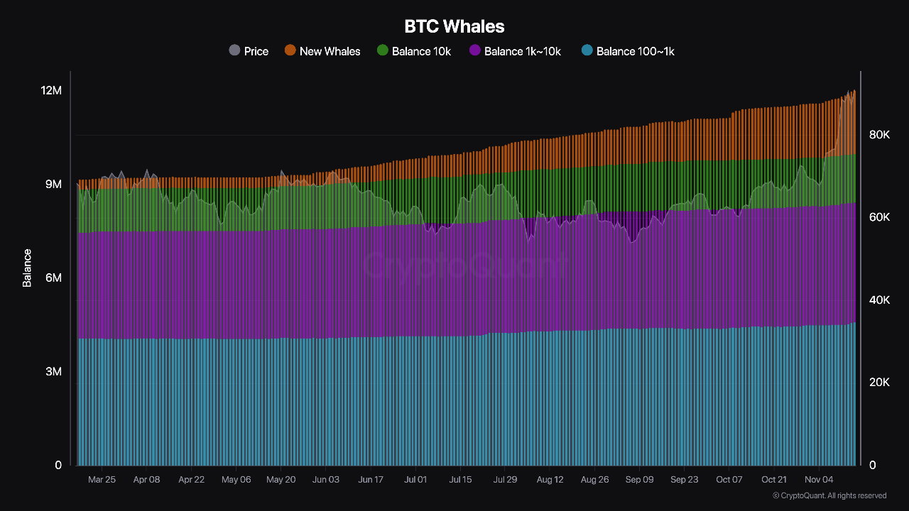 Btc Whales