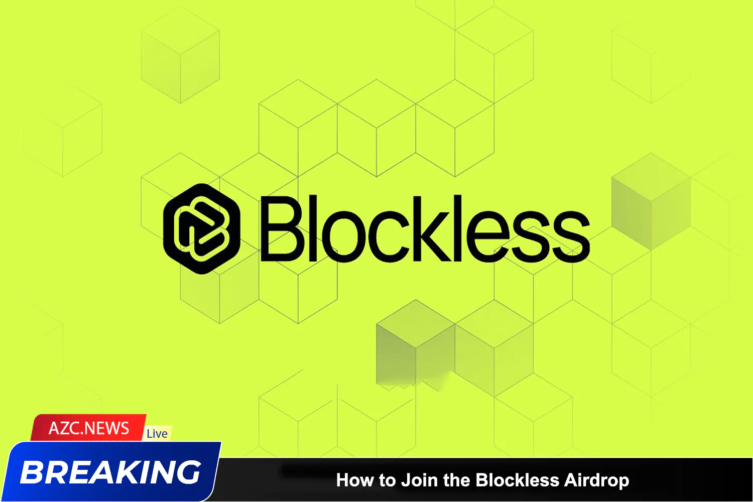 How To Join The Blockless Airdrop