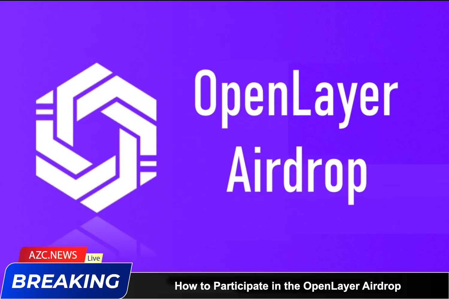 How To Participate In The Openlayer Airdrop