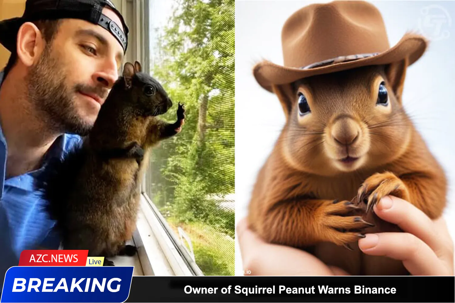 Owner Of Squirrel Peanut Warns Binance About Pnut Memecoin Copyright