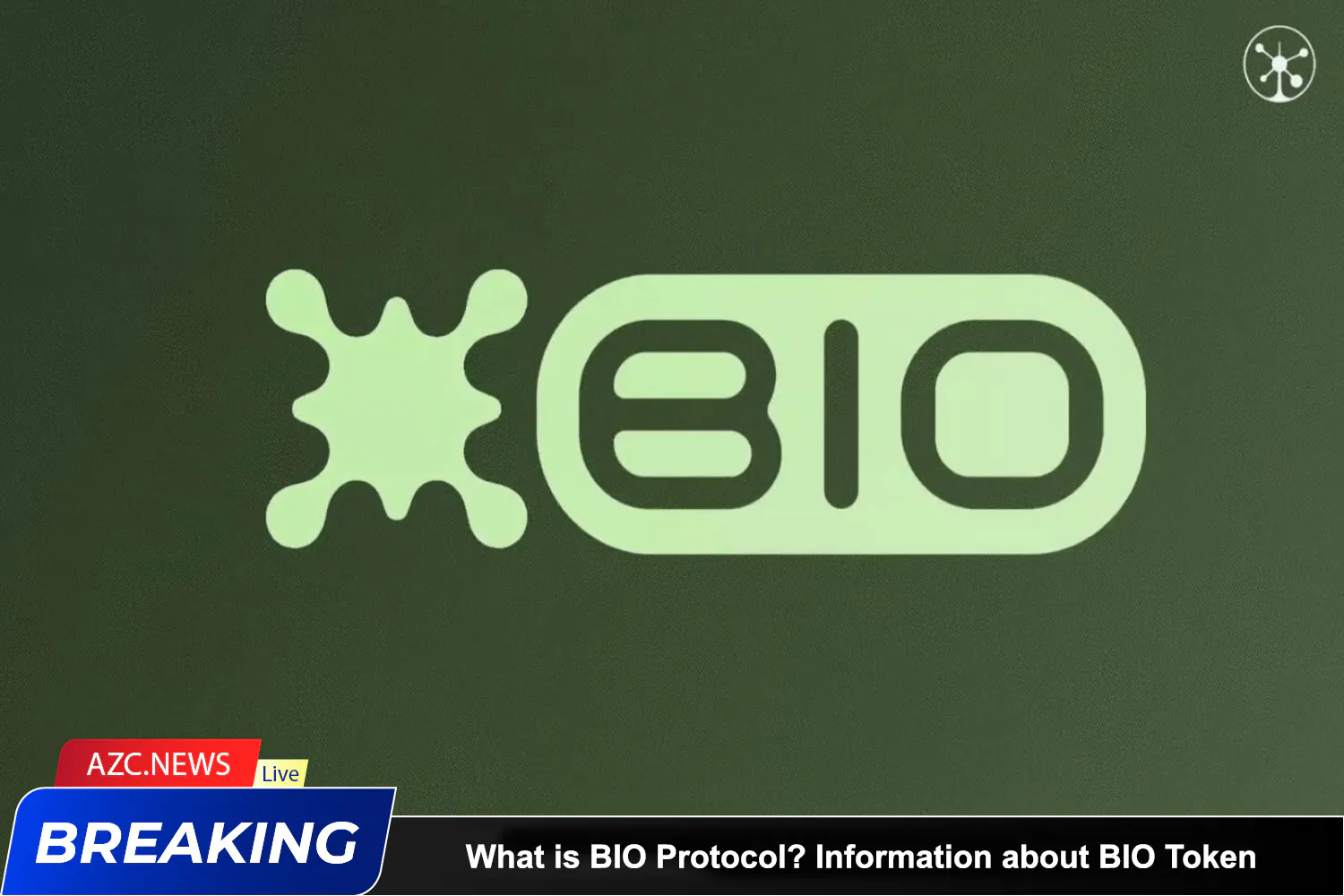 What Is Bio Protocol Information About Bio Token