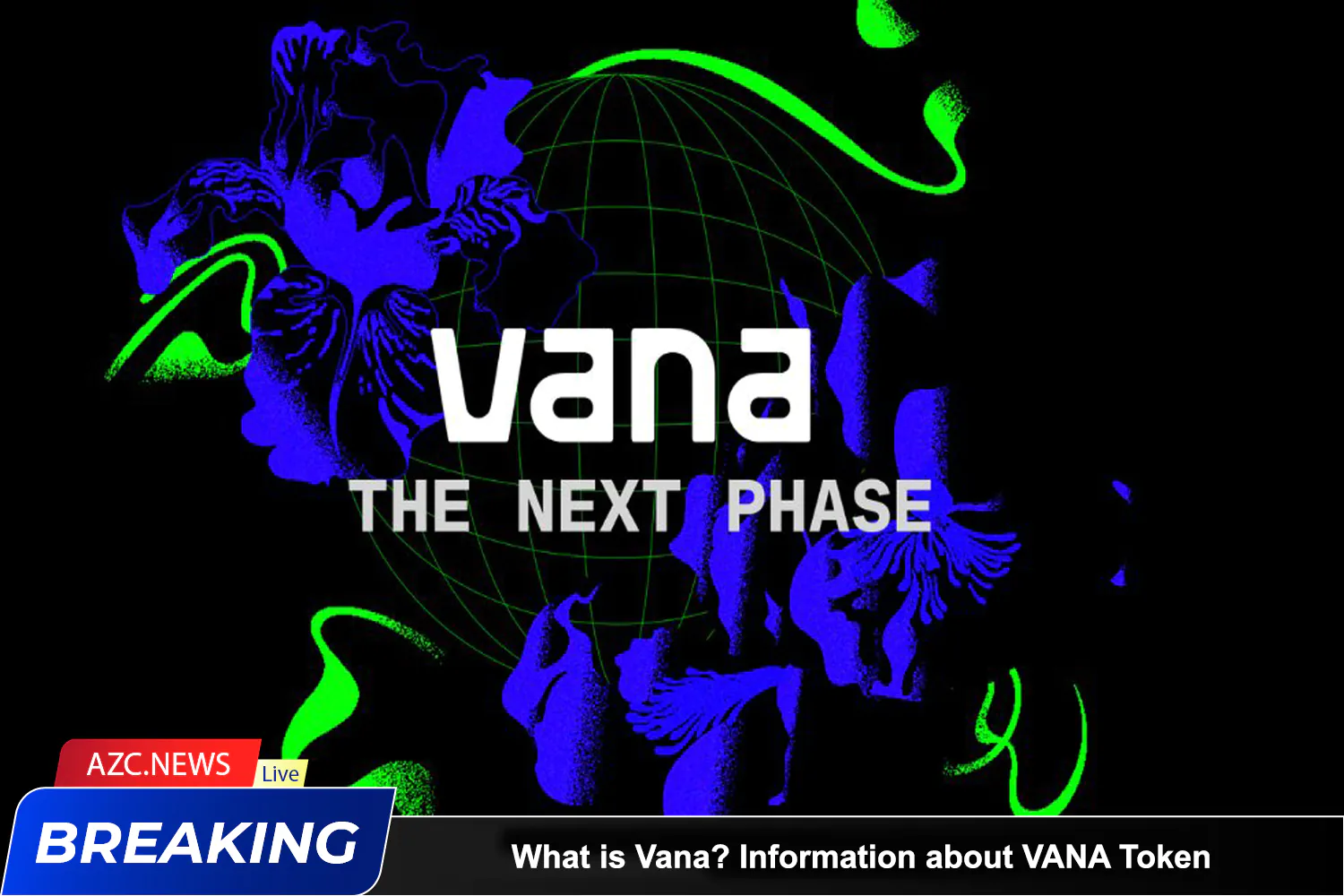 What Is Vana Information About Vana Token