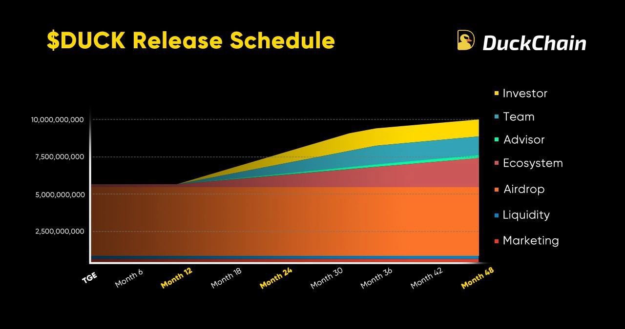 Token Release Schedule