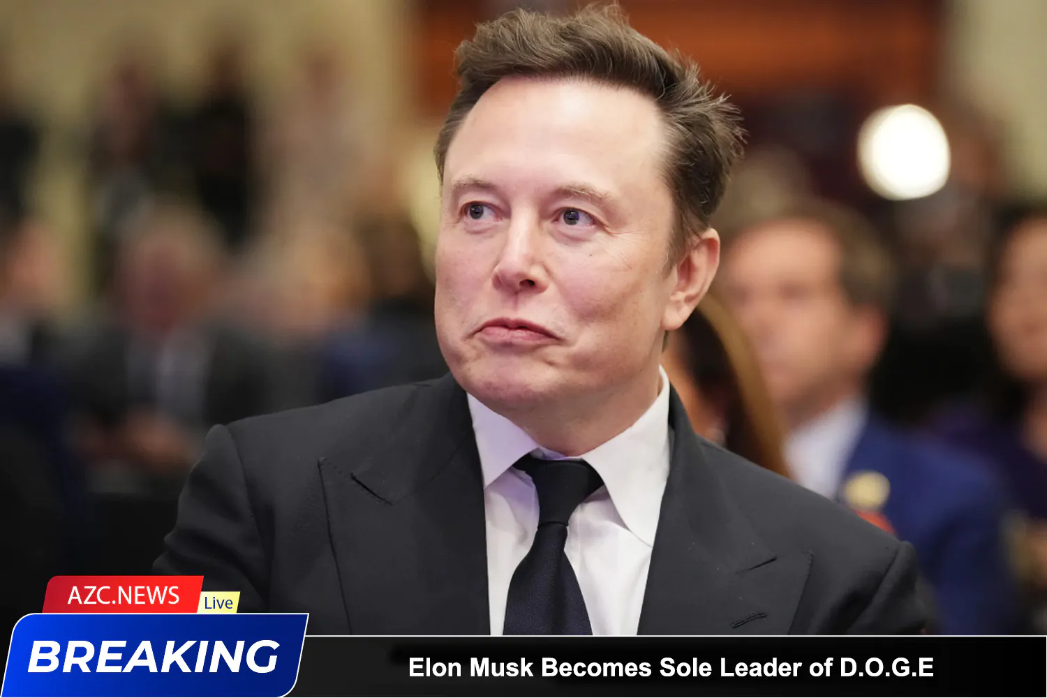 Elon Musk Becomes Sole Leader Of Doge