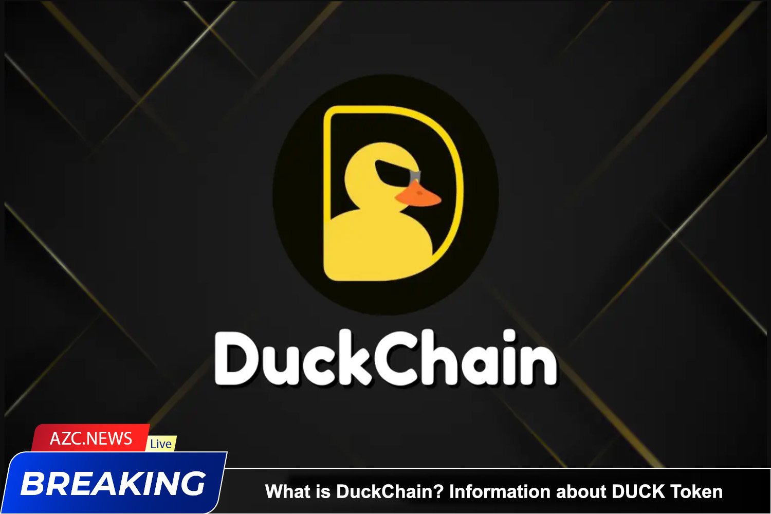 What Is Duckchain Information About Duck Token