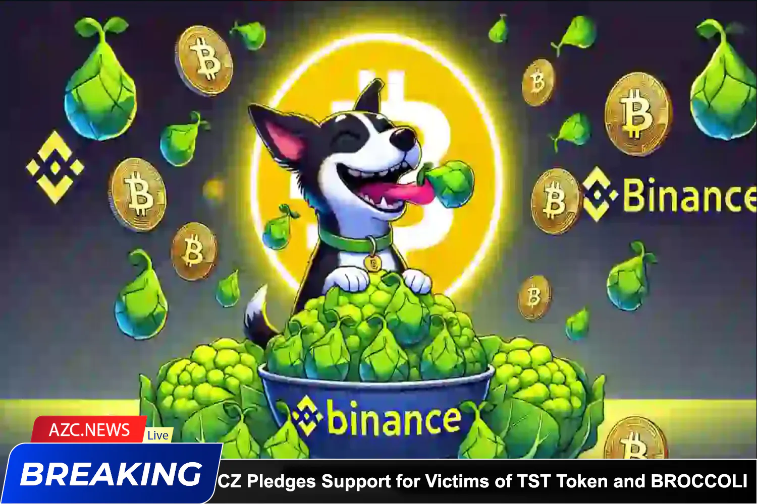 Azcnews Breaking Cz Pledges Support For Victims Of Tst Token And Broccoli