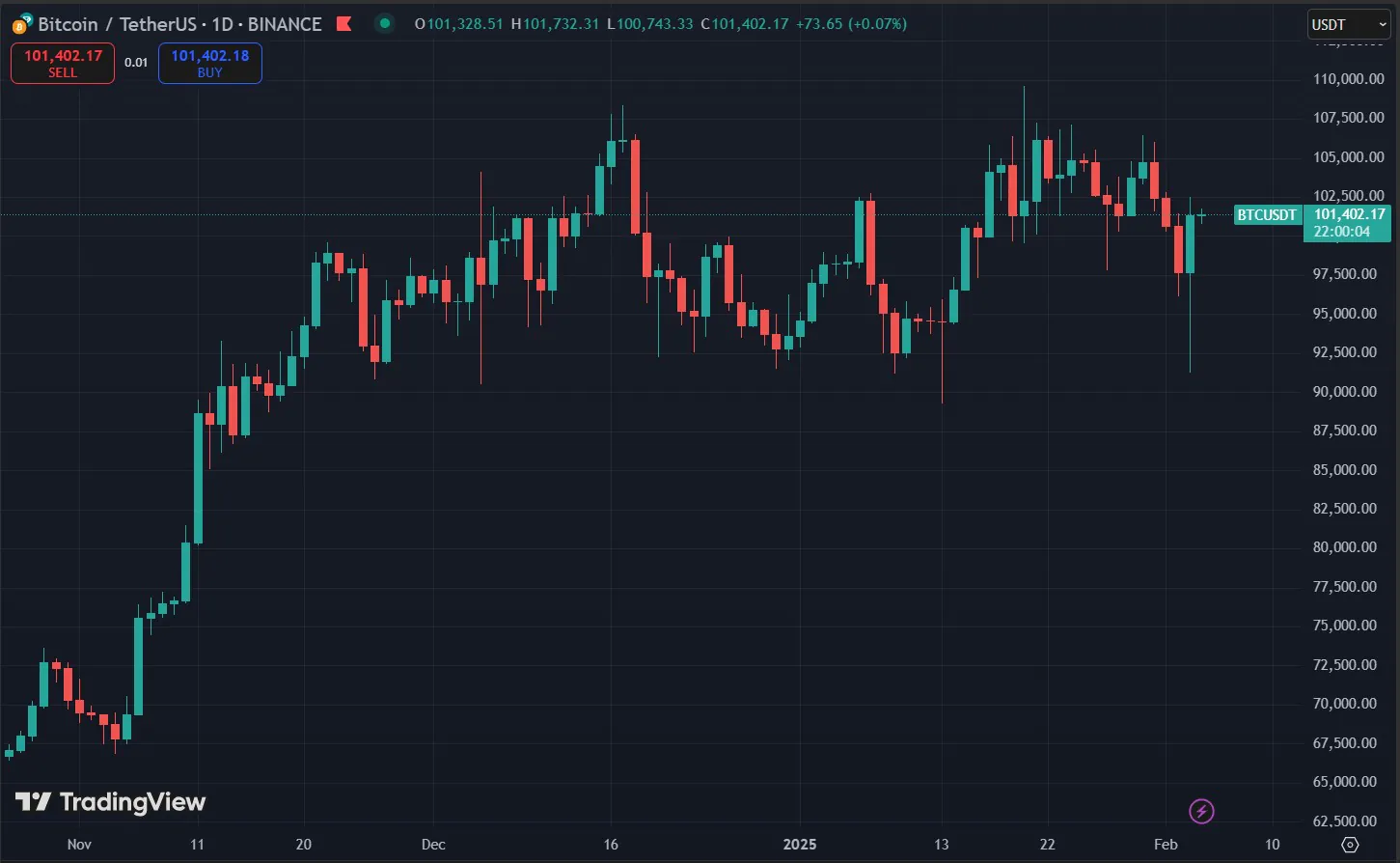 Bitcoin Price Chart