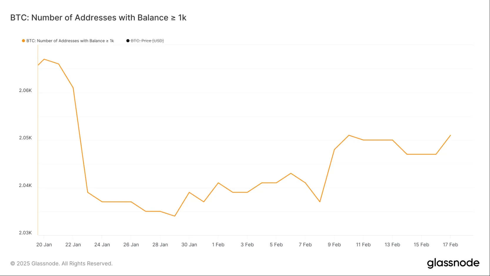 Bitcoin Number Whale Addresses