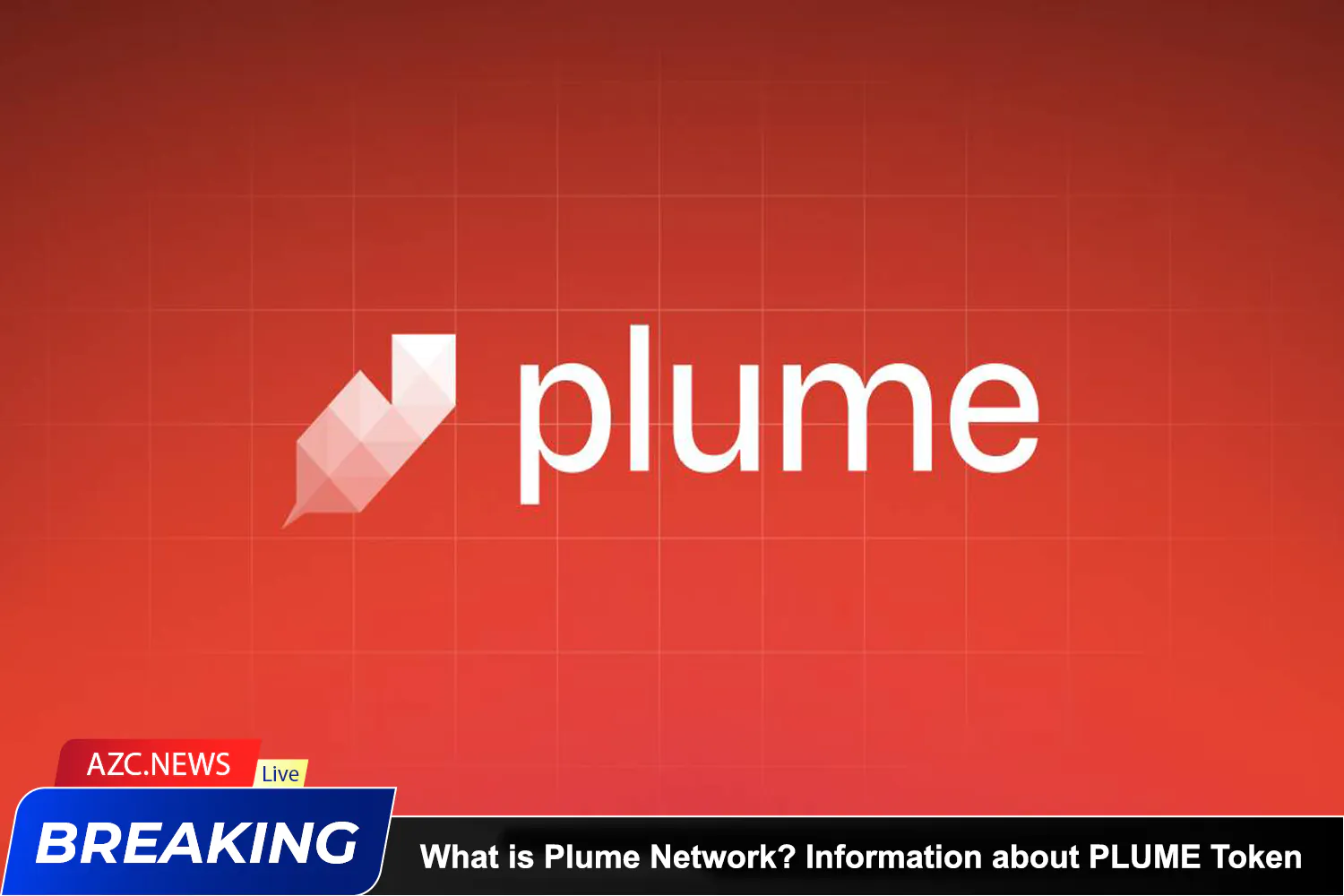 What Is Plume Network