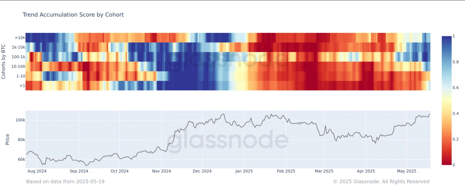 Accumulation Is Now Visible Across Nearly The Entire Wallet Spectrum