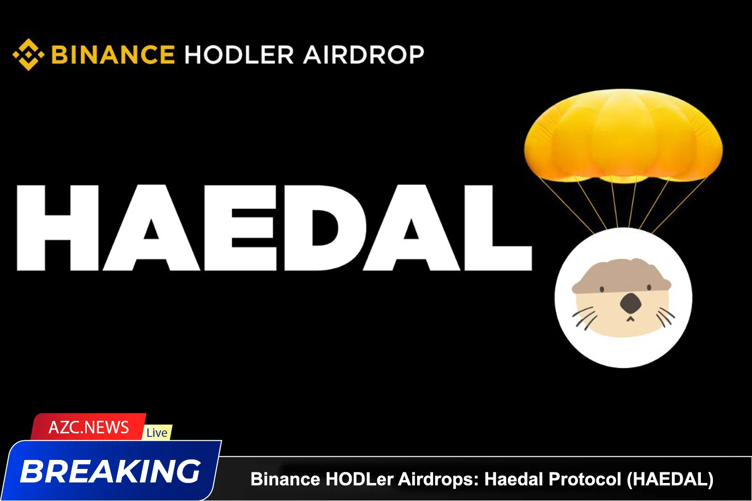 Binance Introduces The 19th Project On Hodler Airdrops Haedal Protocol (haedal)