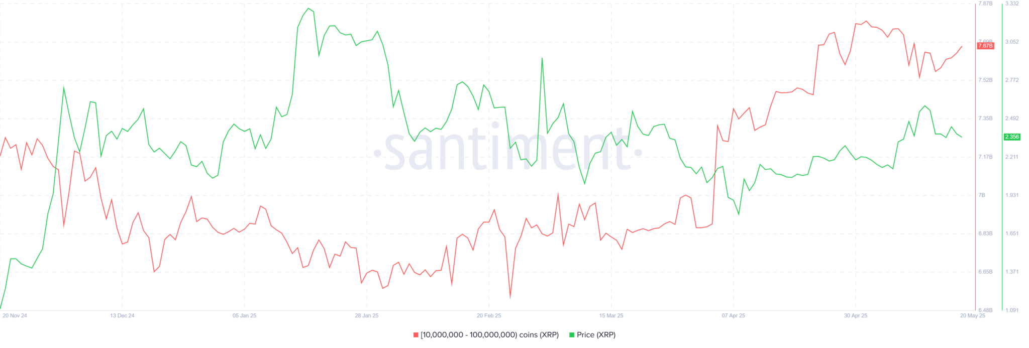 Xrp Whale Balances